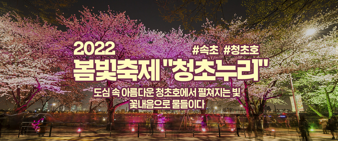 속초 봄빛 축제 "청초누리 봄빛정원" 2022