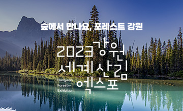 2022 강원세계산림엑스포