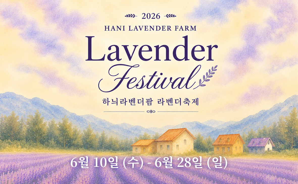 2026 고성 라벤더축제