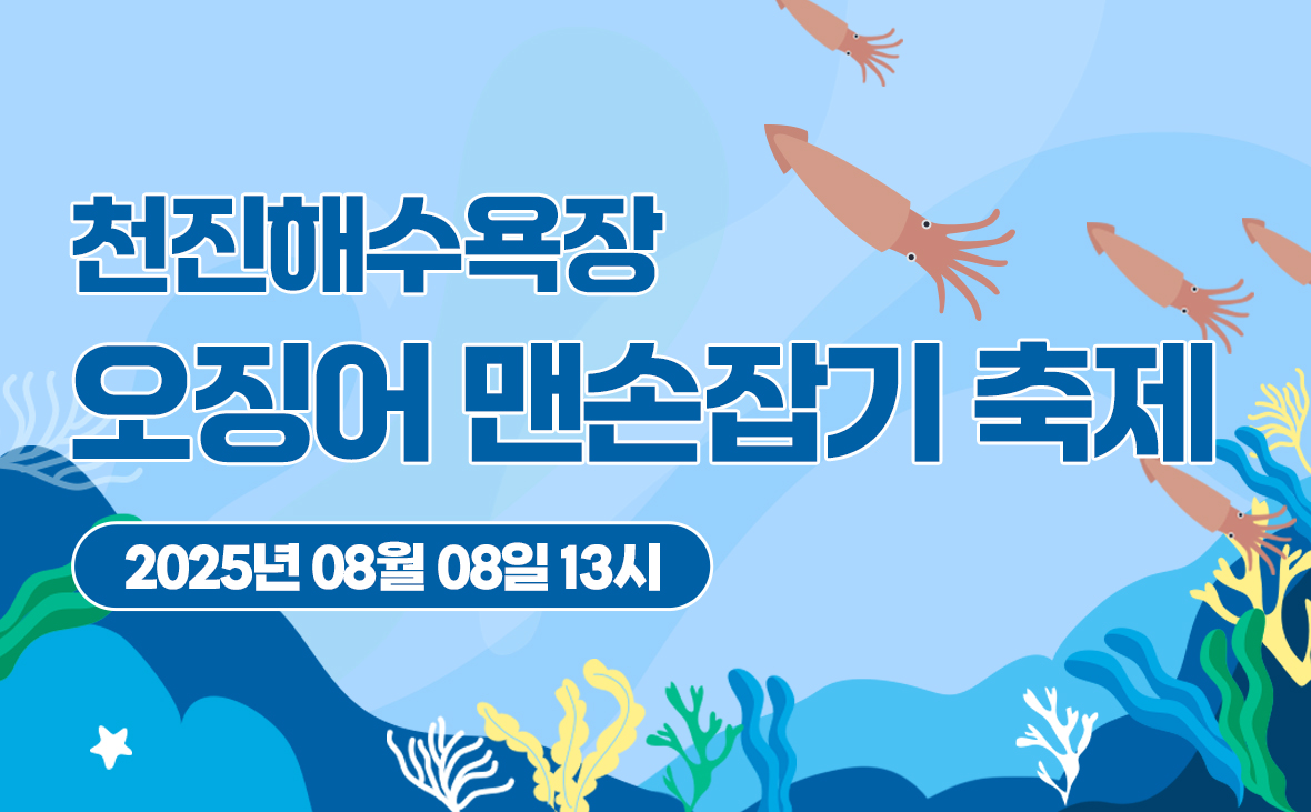 천진해수욕장 오징어 맨손잡기 축제