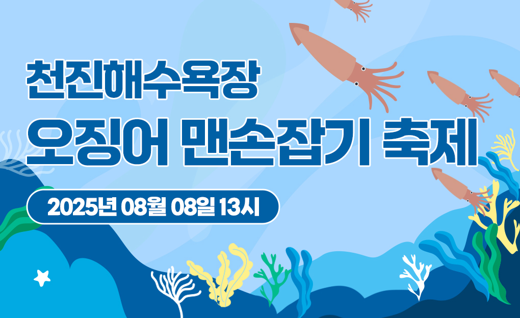 천진해수욕장 오징어 맨손잡기 축제