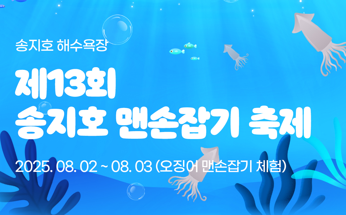 제13회 송지호 오징어 맨손잡기