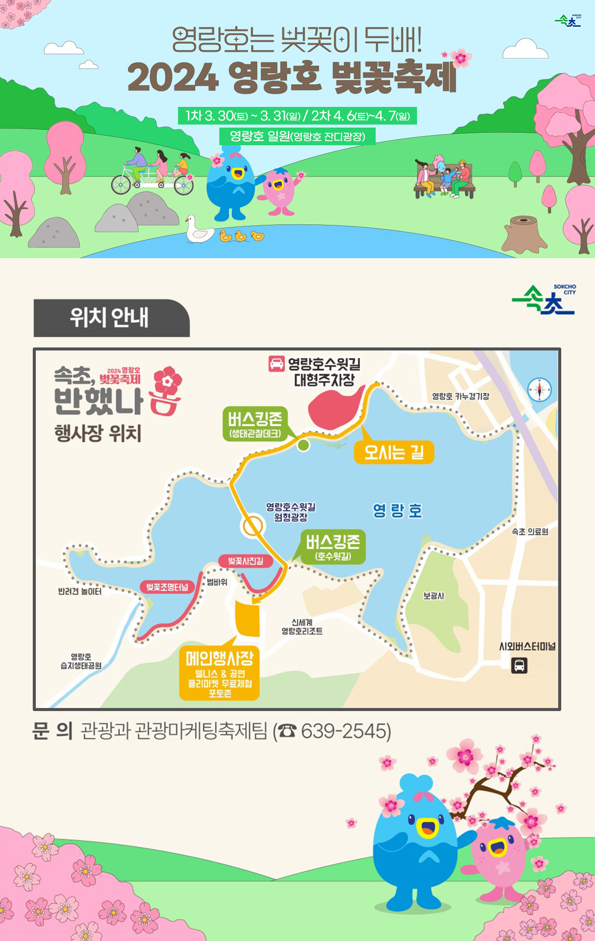 2024 영랑호 벚꽃축제